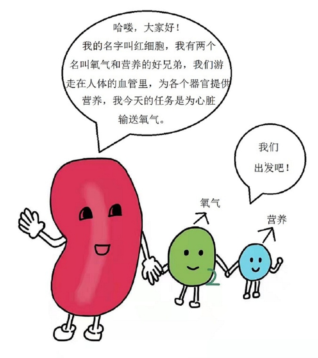 微观视角带您走进“心世界”——来自红细胞的自述