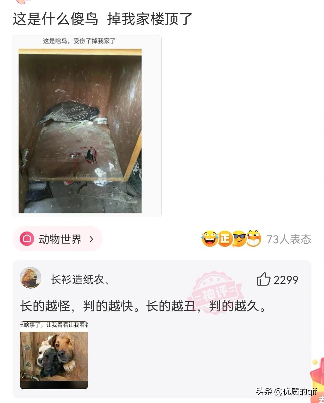 神回复：​友友们，分手了，一人说一句安慰我的话