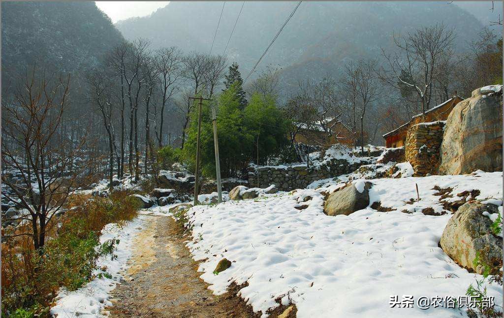 冬至晴一天，春节雨雪连！干净冬，必脏年！用农俗预测天气准不准