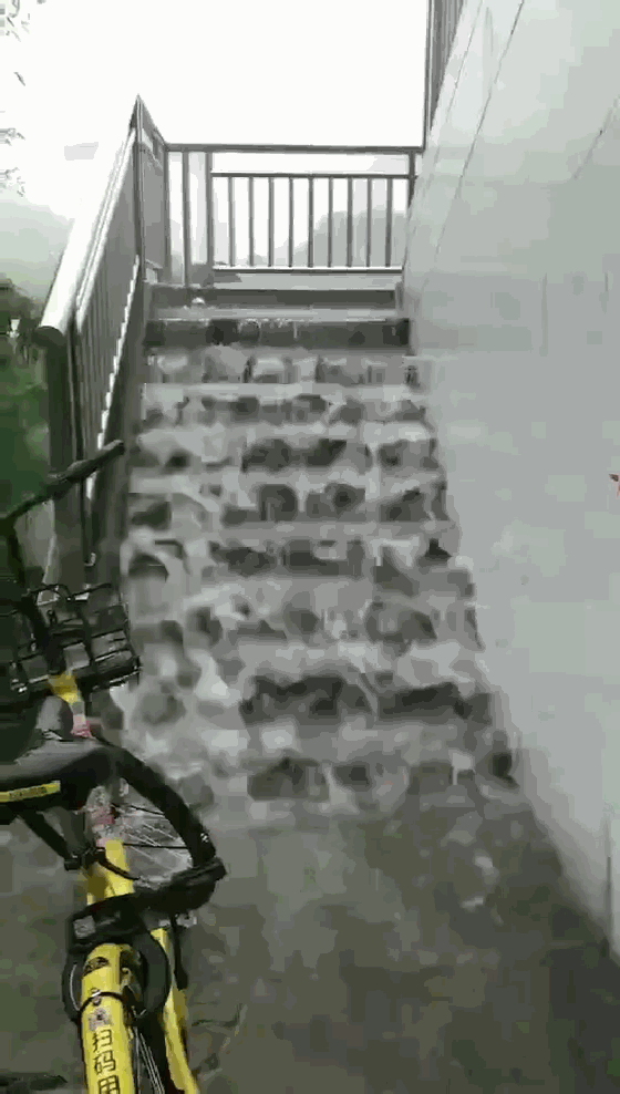 南京信息工程大学，又火了！