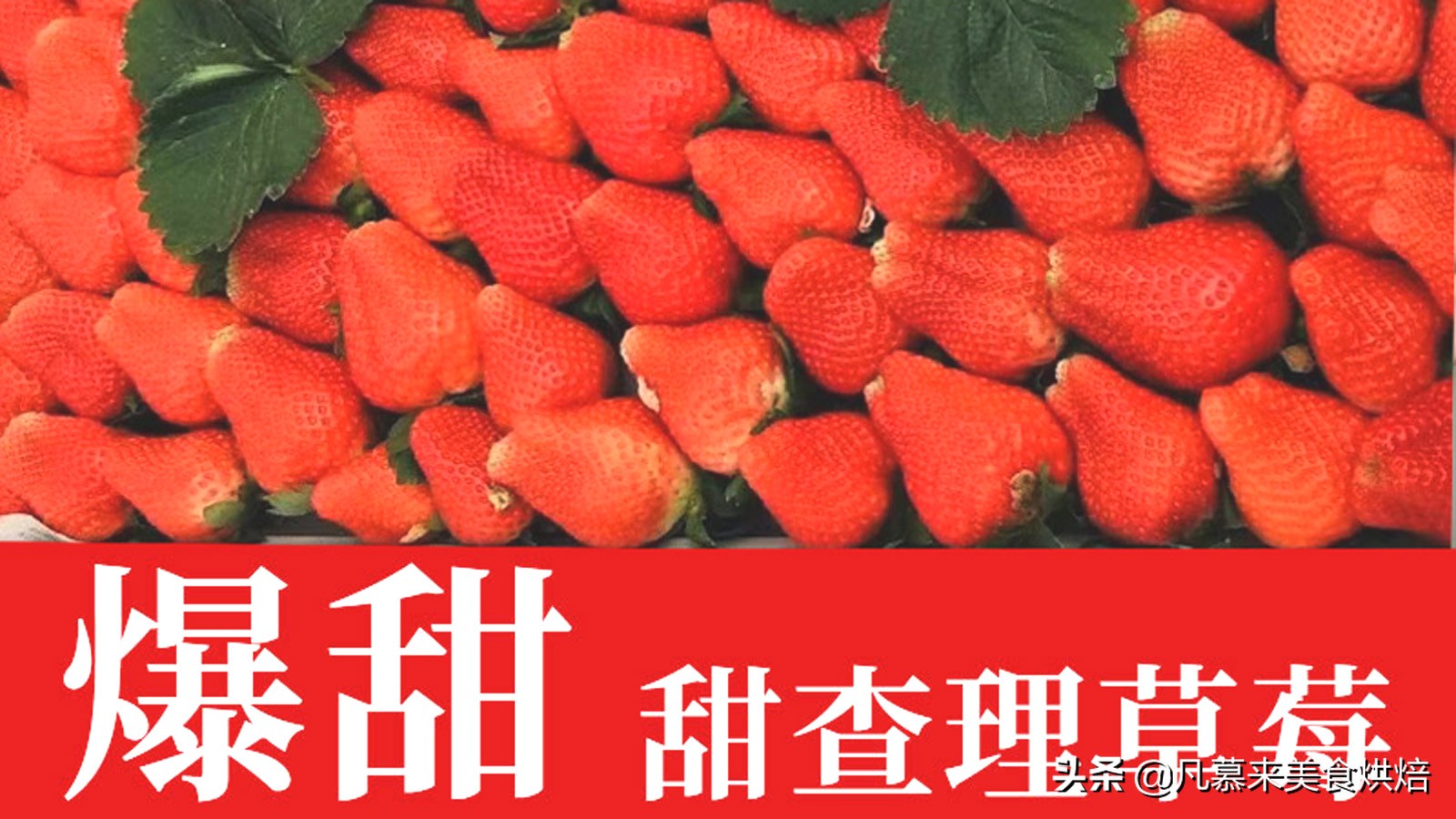 24种常见草莓品种，中国20大草莓产地？哪里的草莓最好吃？
