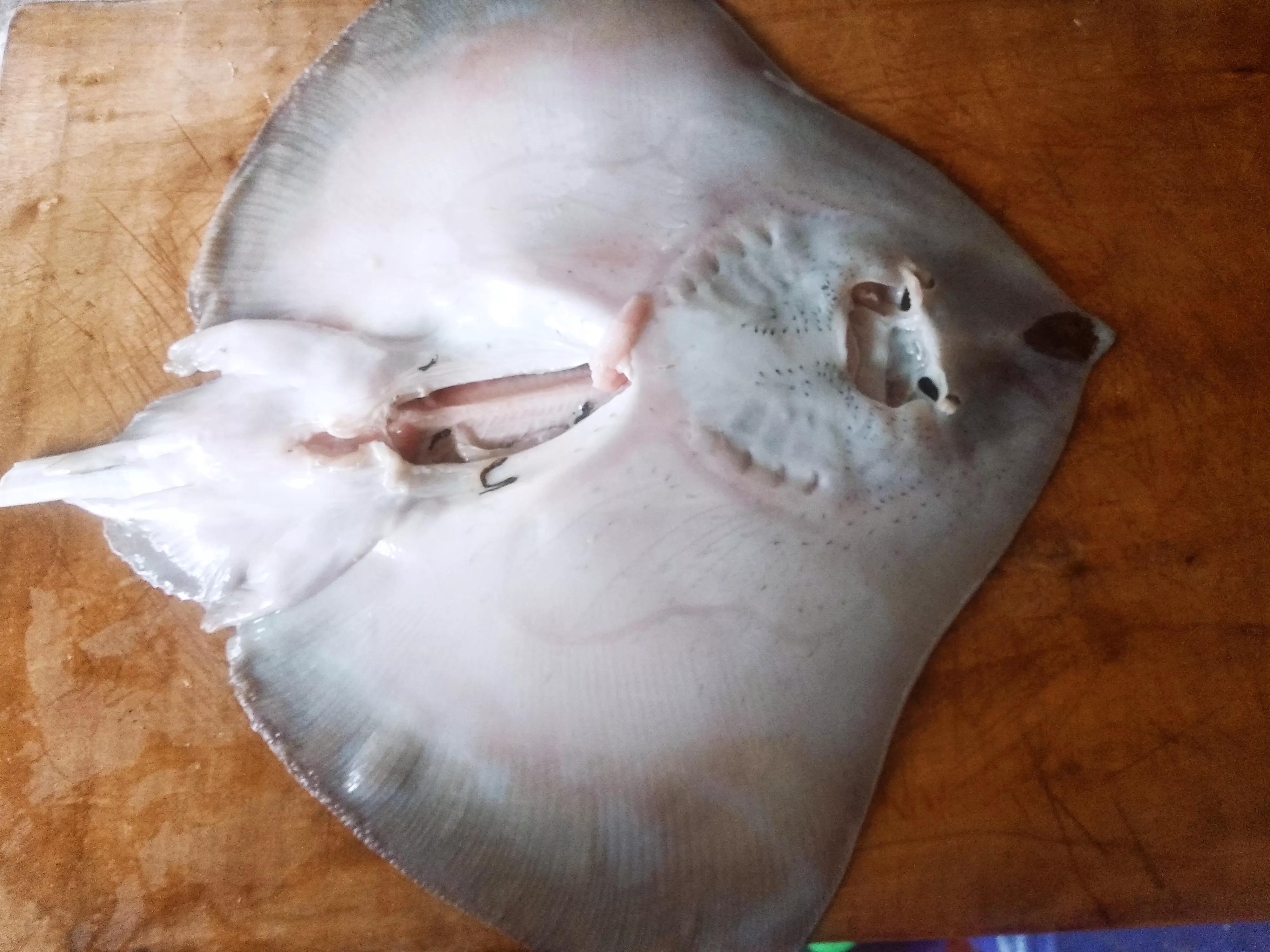 鳐鱼多少钱一斤(北方过年) - 价格百科