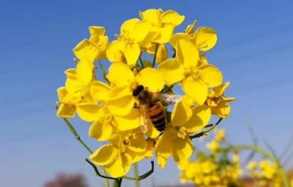 再忆｜2015上海卷高考作文题目——《我心塑我性》