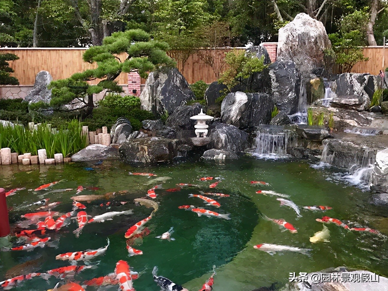 为什么庭院鱼池越来越受欢迎？听听设计师们怎么说