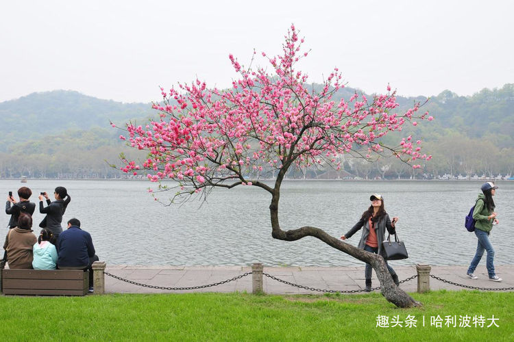 人间四月芳菲尽，山寺桃花始盛开，了解中国何处赏花最风流！