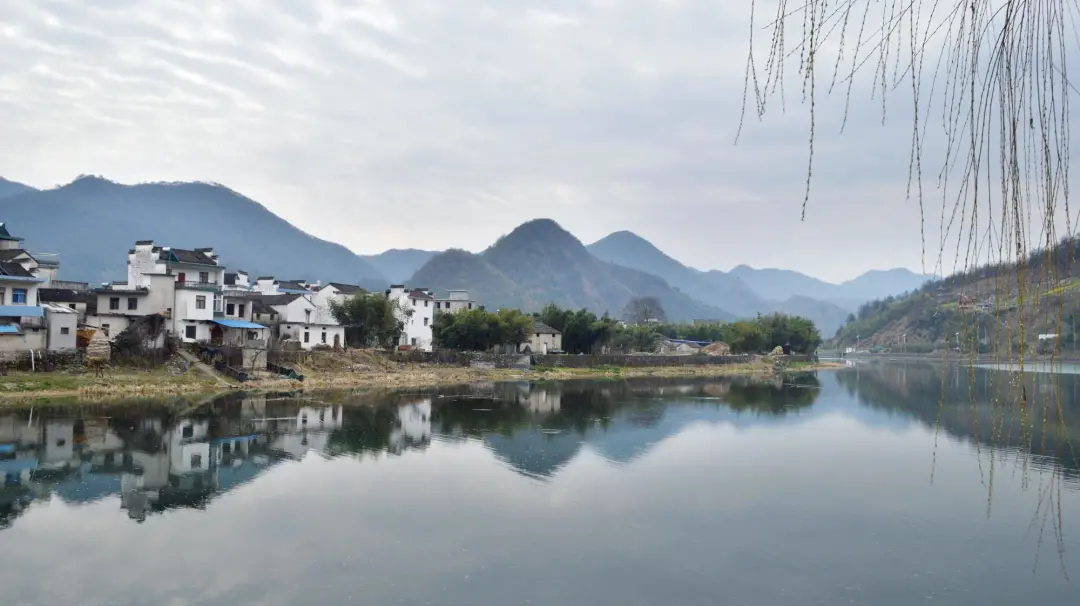 一条臭鳜鱼,为什么能成为徽菜代表?