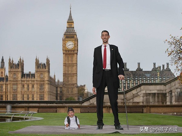 北京社_五年级英语上册单词列表、例句汇总