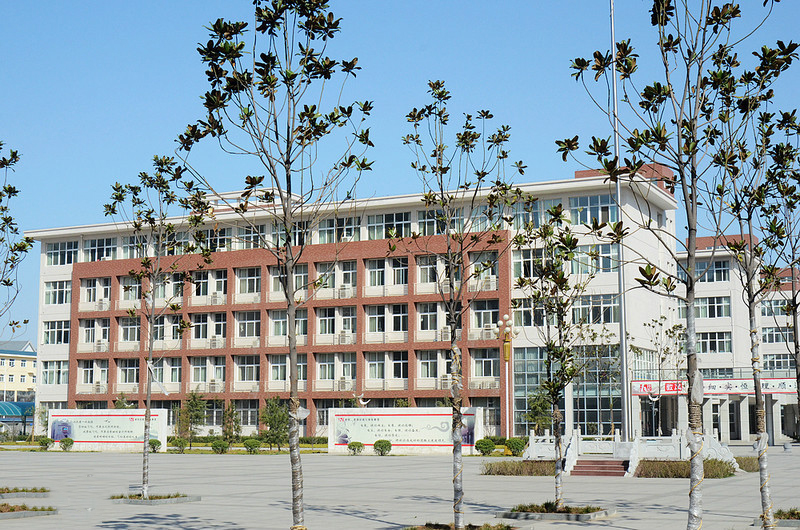 洛阳六所高中，洛阳一高领衔，栾川一高和伊川一高，哪所更强？