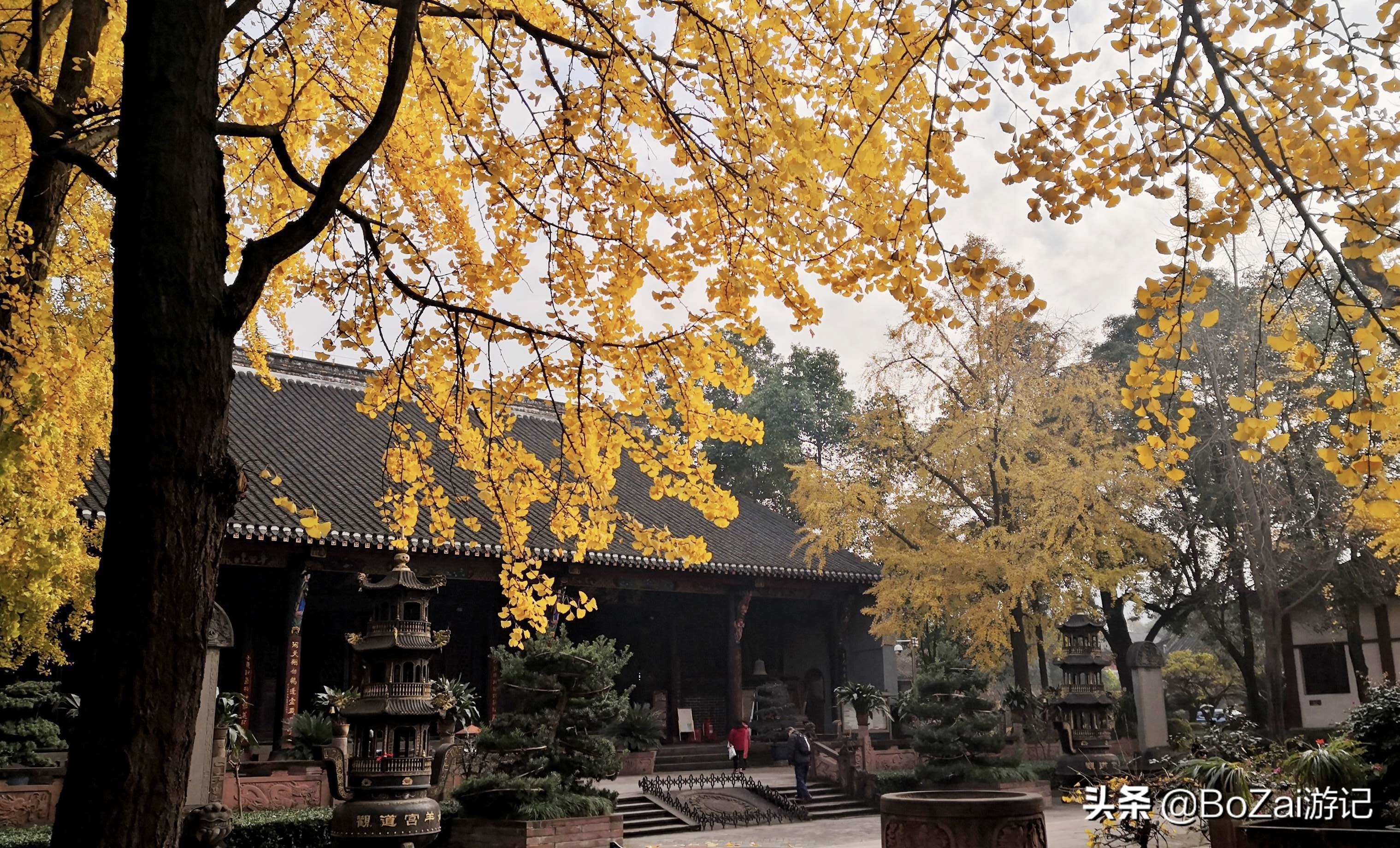 成都国际影院(到四川成都市旅游不能错过的34个景点，看这篇就够了，你去过几个)