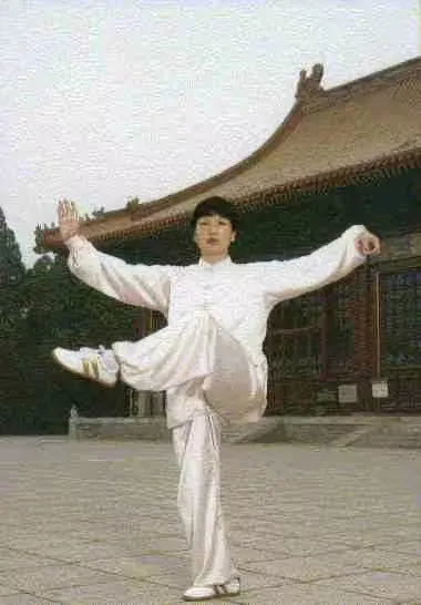 吴式45式太极拳背向演练(吴式45式太极拳动作解析)