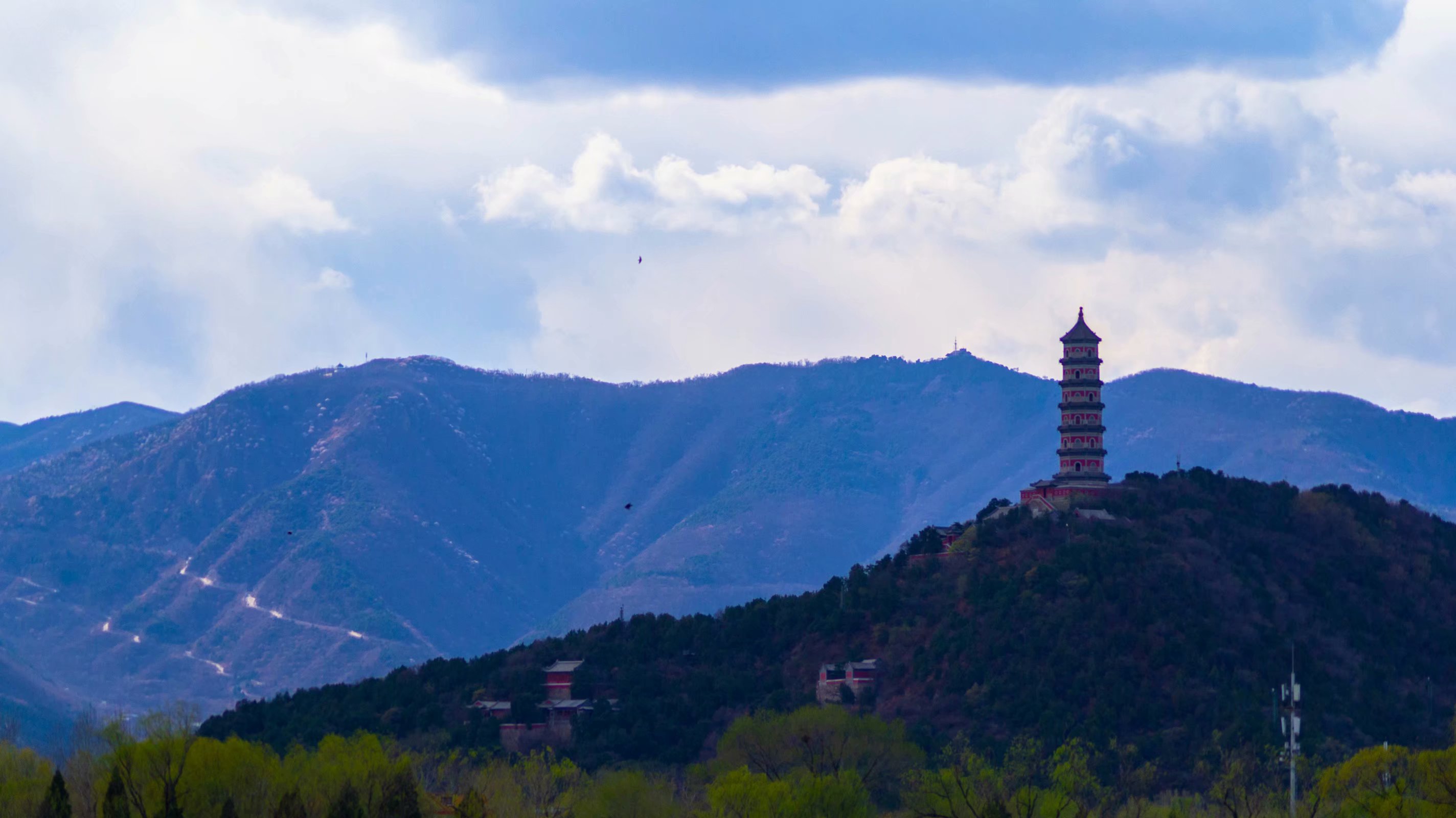 20考研：电子科技大学报考数据公布，你知己知彼了没？