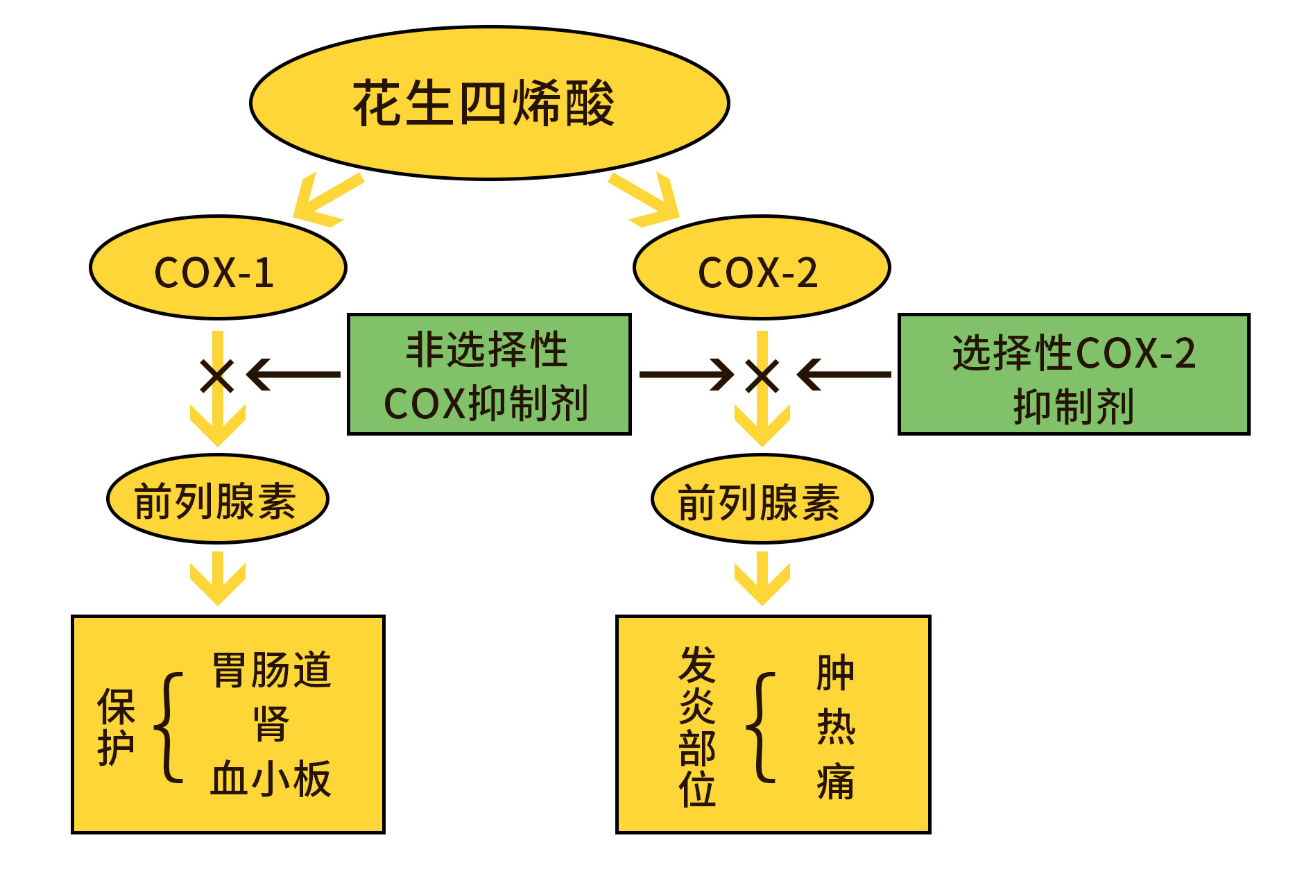 託法替布多少錢一盒抗風溼藥效果不好