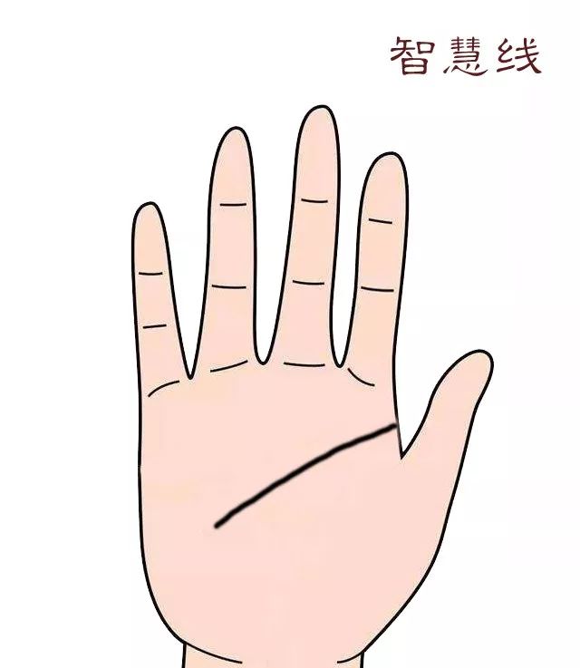 《三机论手》手掌上代表一个人运势的纹理，你都认识吗？