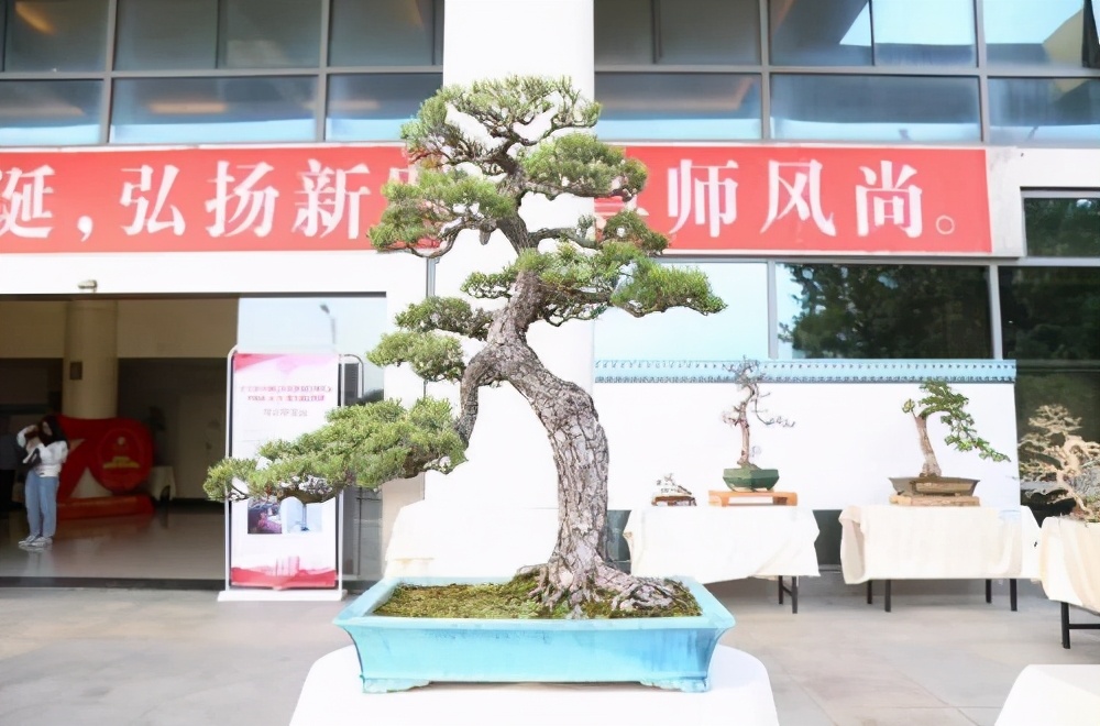 广东科贸职业学院学费宿舍费学校环境宿舍环境怎么样