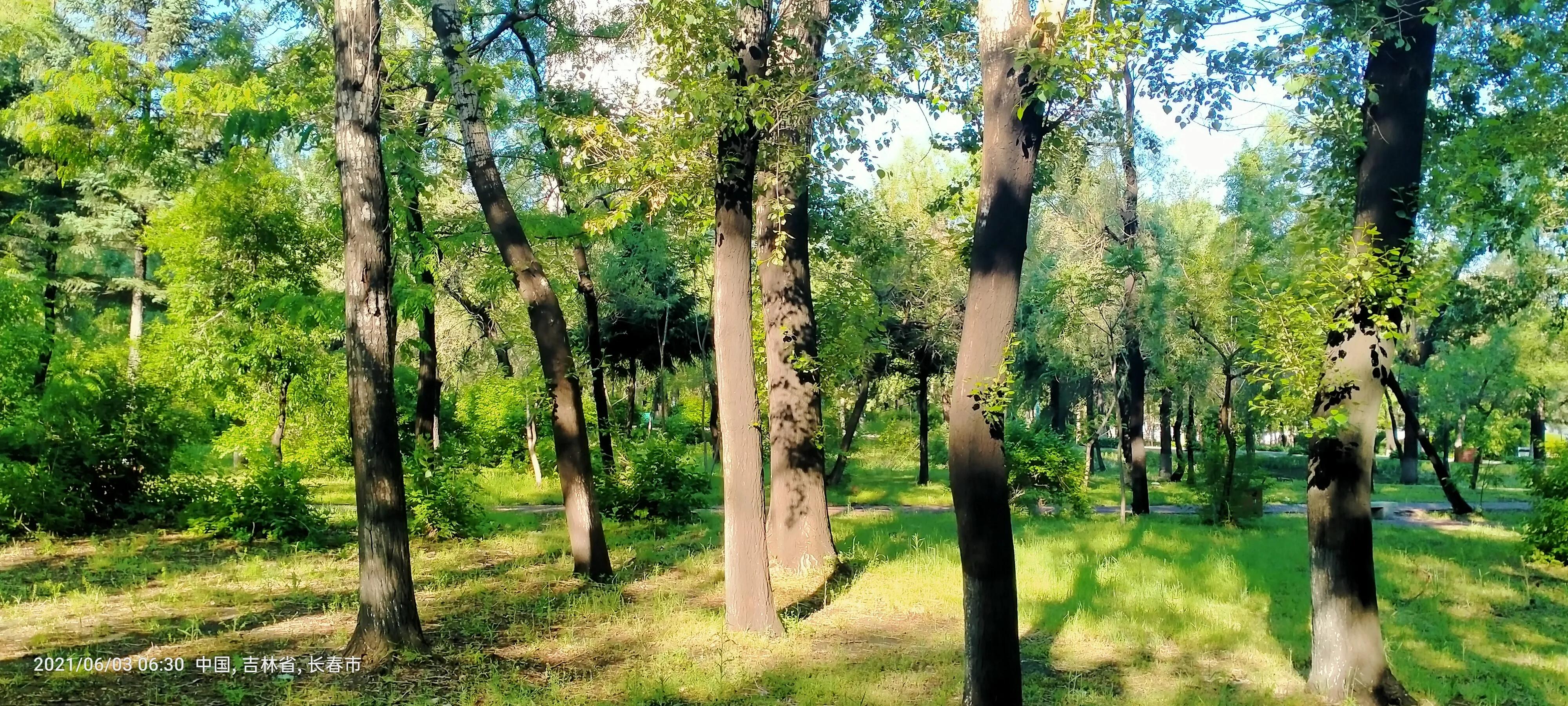 长春师范大学——竟然这么美