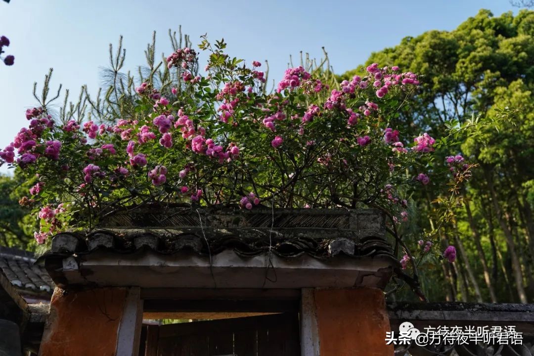 天台国清寺｜一念三千，风约孤萤落砌间