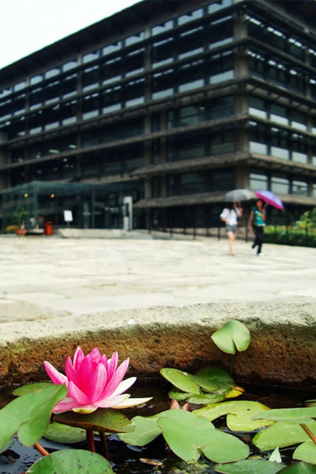 大学校园的一朵奇葩：中国美院象山校区，国内著名的网红校园