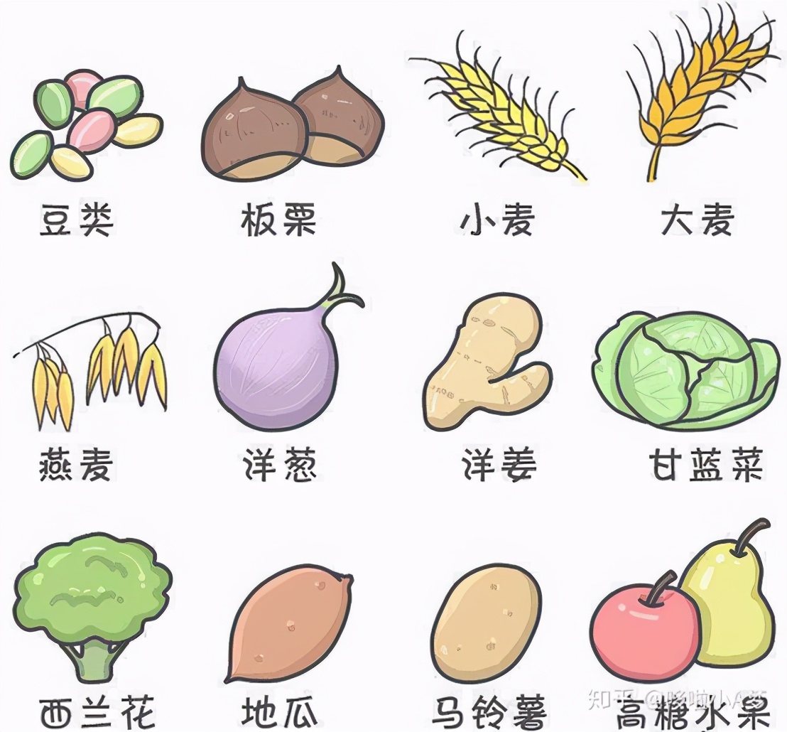 如果是吃母乳的宝宝,妈妈可以少吃一些容易胀气的食物,下面这些都是