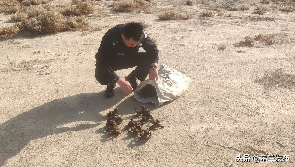 ��������ء�����ս��ʤ��ʱ�����������أ��¾���ҽ��ͥ��