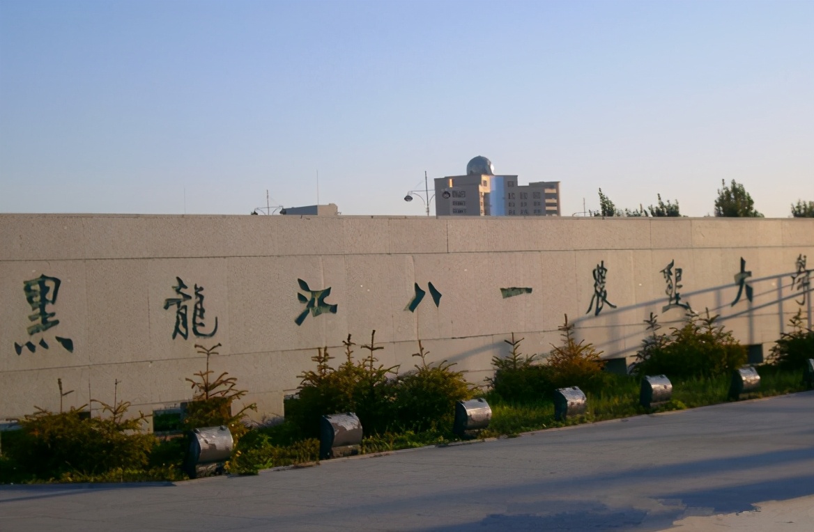 黑龙江这所本科大学，3轮补报无1人报考，考生：看校名就不想报