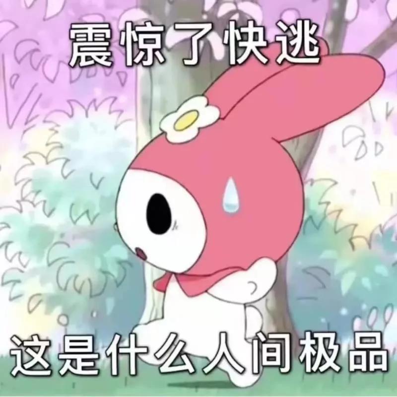 女生的卫生棉条是怎么塞进身体里？