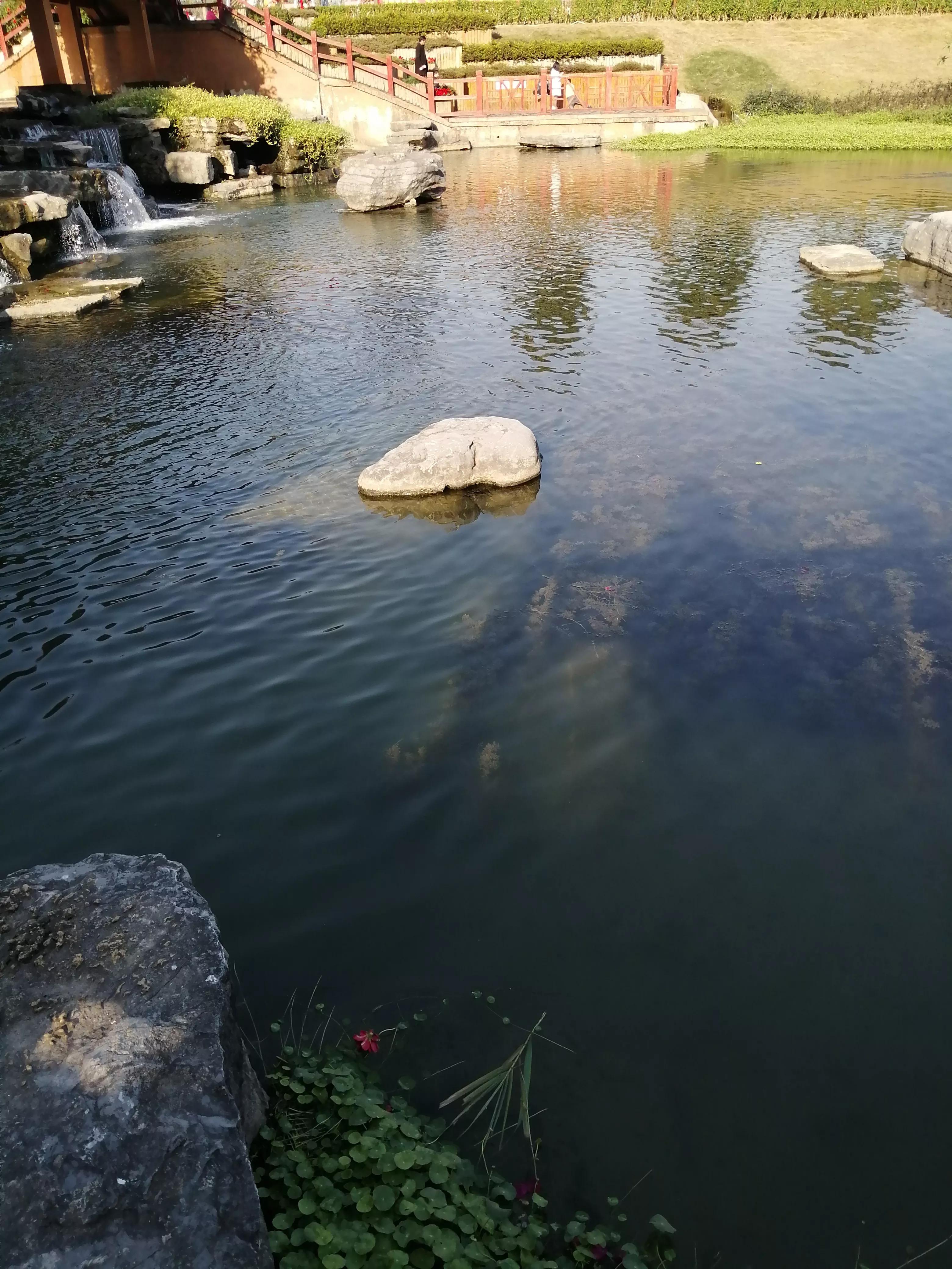 4个步骤告诉你怎样开始写作