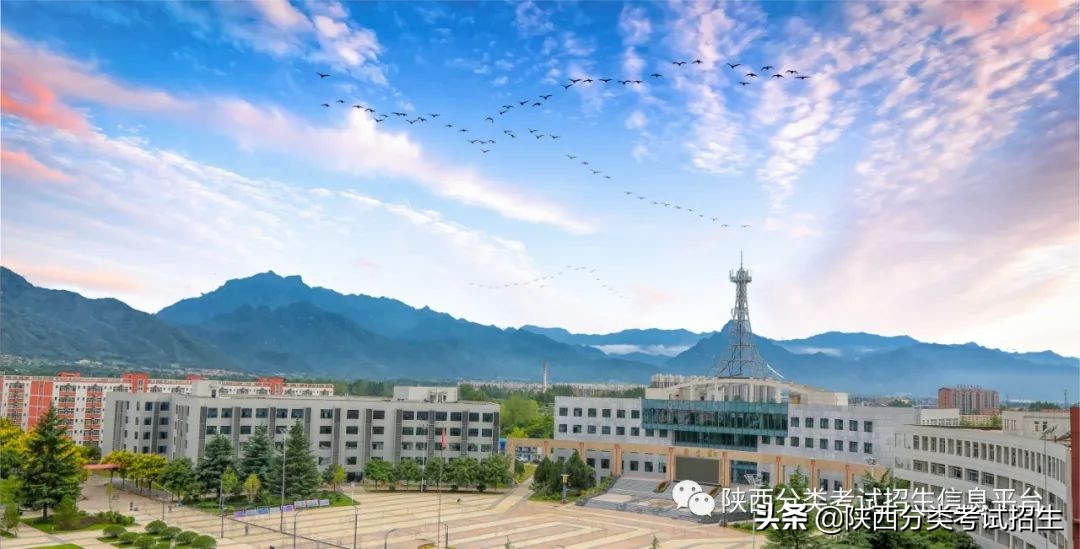 全日制普通本科院校西安明德理工学院2021年分类考试招生简章