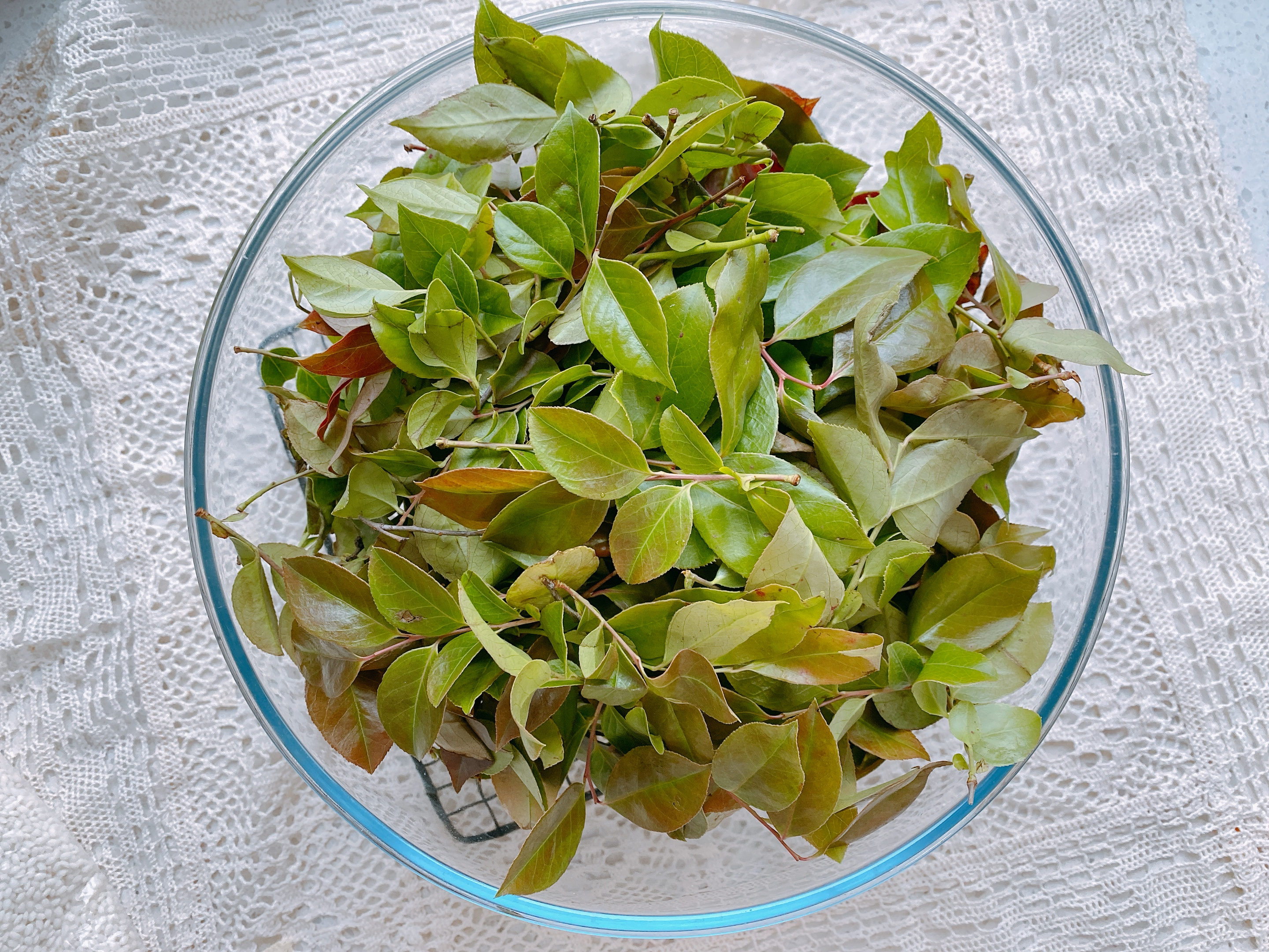 乌米饭怎么做的(用树叶染色做的乌米饭香甜软糯)