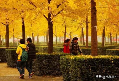 武汉科技大学外国语学院（5月25日武汉科技大学）