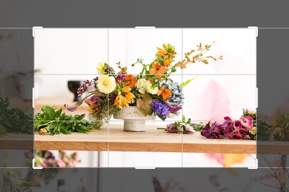 八：一分钟学会PS裁剪和调整图像大小