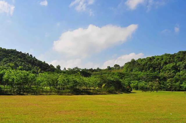 深圳十大免费特色的湖泊公园