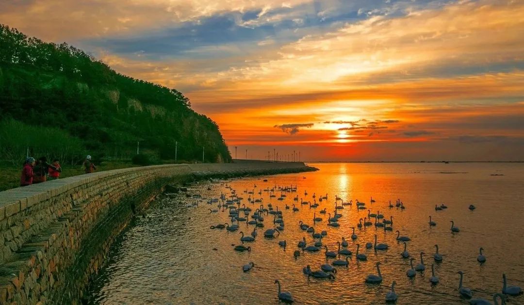 招生季|简章来了，威海海洋职业学院14507呼叫你！