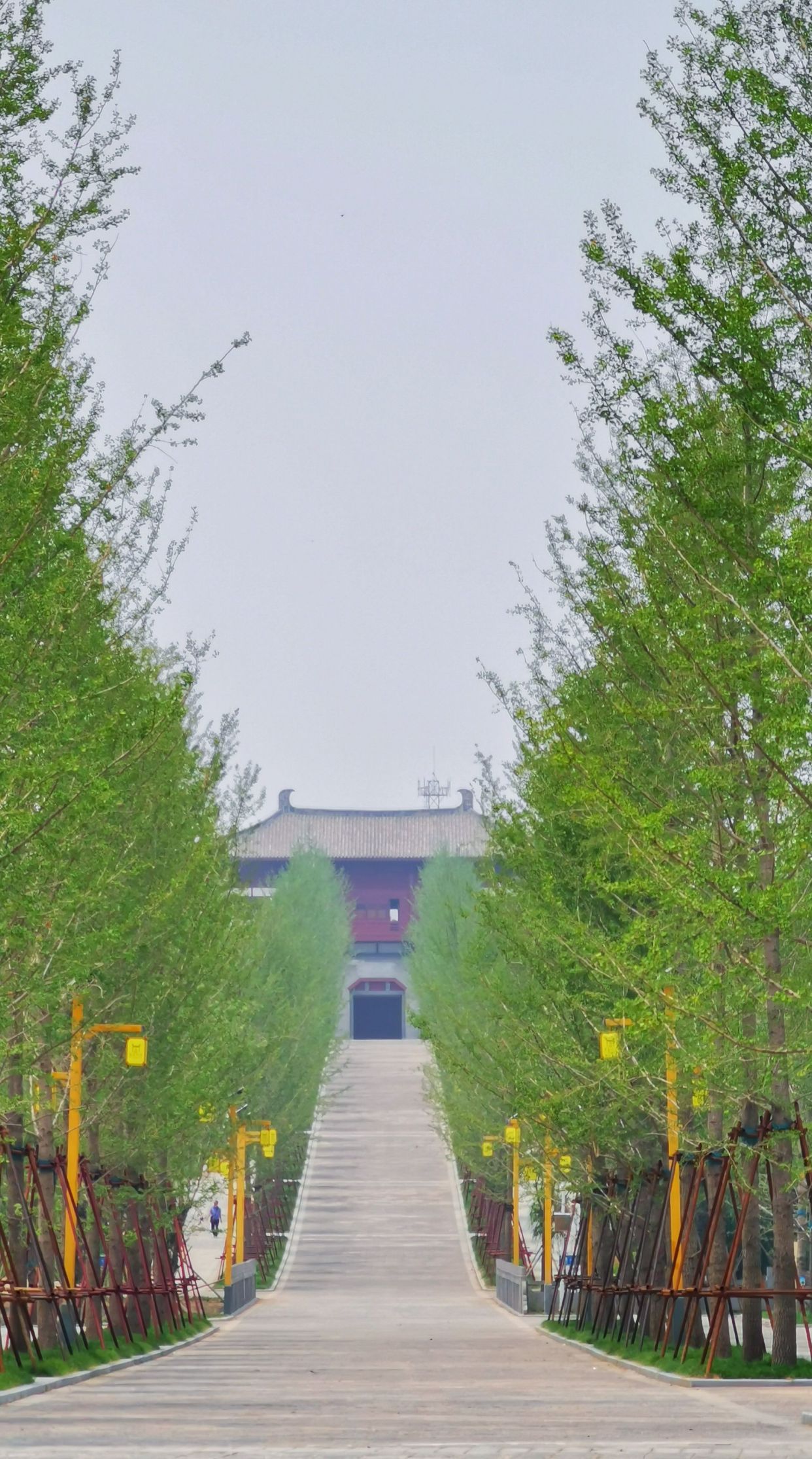 偃师周边旅游景区(玄奘传说成为国家级非遗) - 悦闻天下