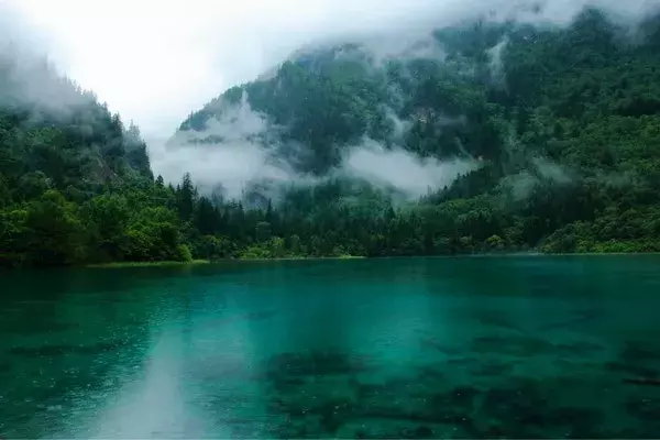 寻一处静谧，赶一场春雨