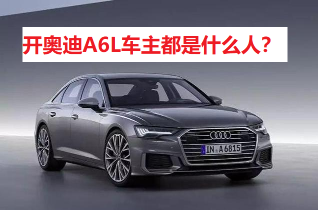 奥迪A6L车主画像：揭秘高端商务人士的购车偏好与身份象征