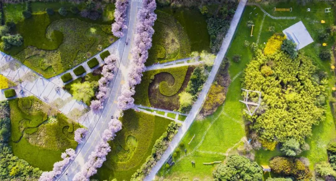 西安这座学费高达3万的大学，凭什么比985、211还受人欢迎？