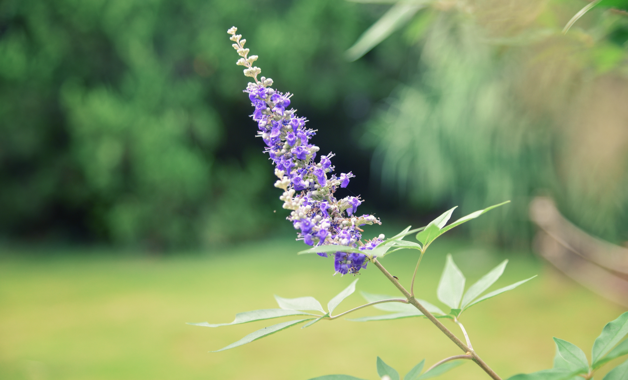 金牛座爱上一个人的时候，会是怎么样的？
