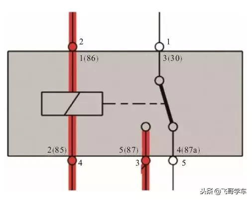 从零开始学汽车维修,第16天,继电器的认识参照细节