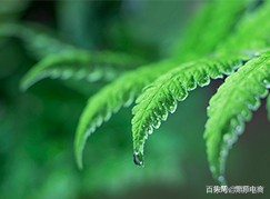 淘金币拍链接充值解说（目前全部充值安全的做法）