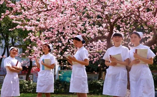 医学专科学校里的佼佼者，四川中医药高等专科学校2020年单招计划