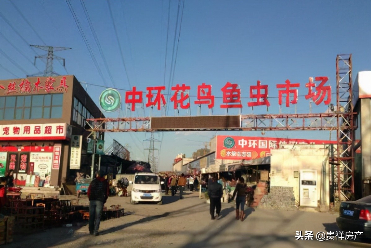全国十大花鸟鱼虫市场，十里河花鸟市场上榜，第一全国规模最大