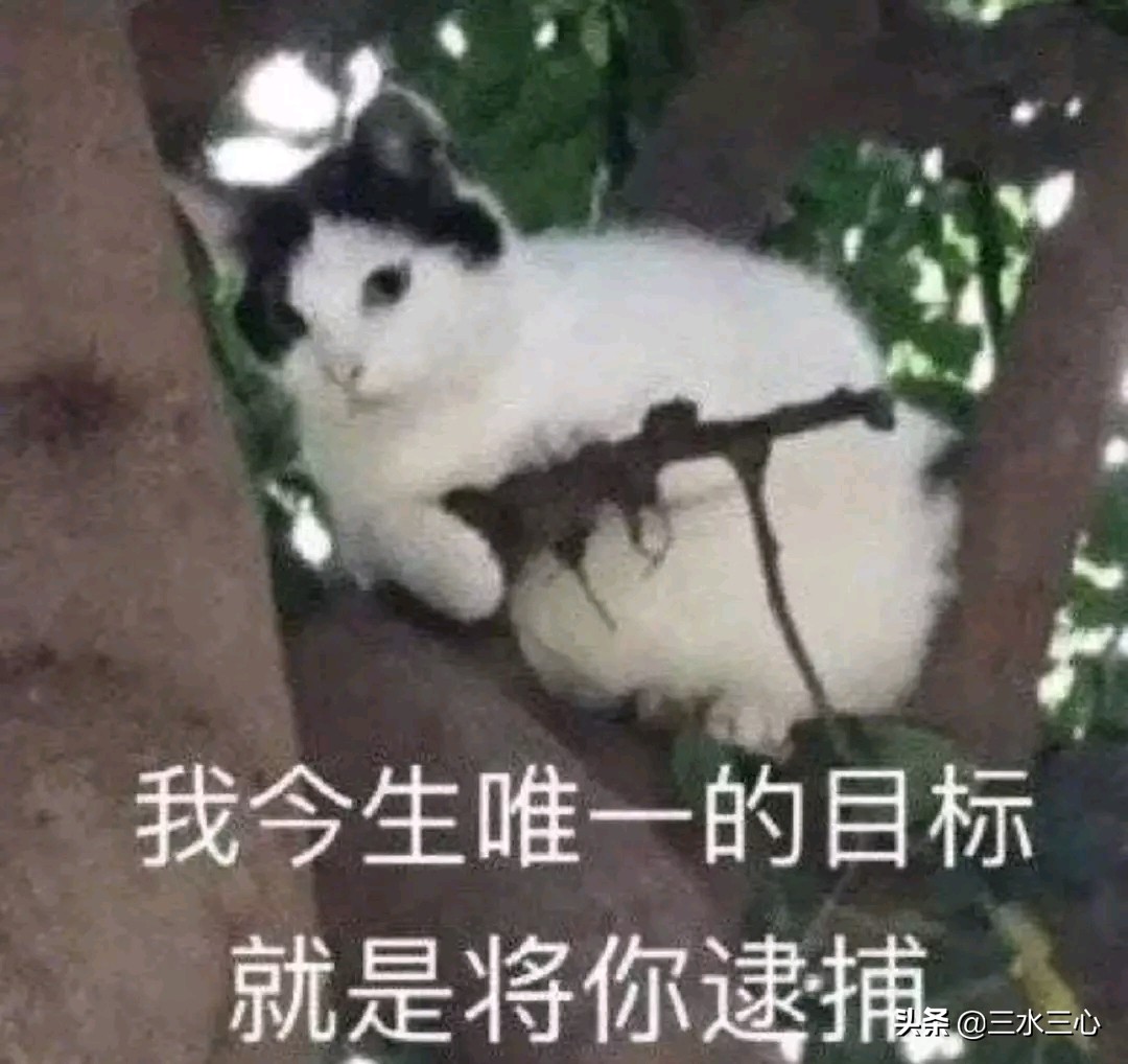 危害、原因及惩治的方式，从“校霸”强迫9名女中学生交往说起