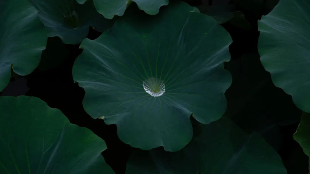 怀德学院“心怀正气 尚德倡廉”文化作品展