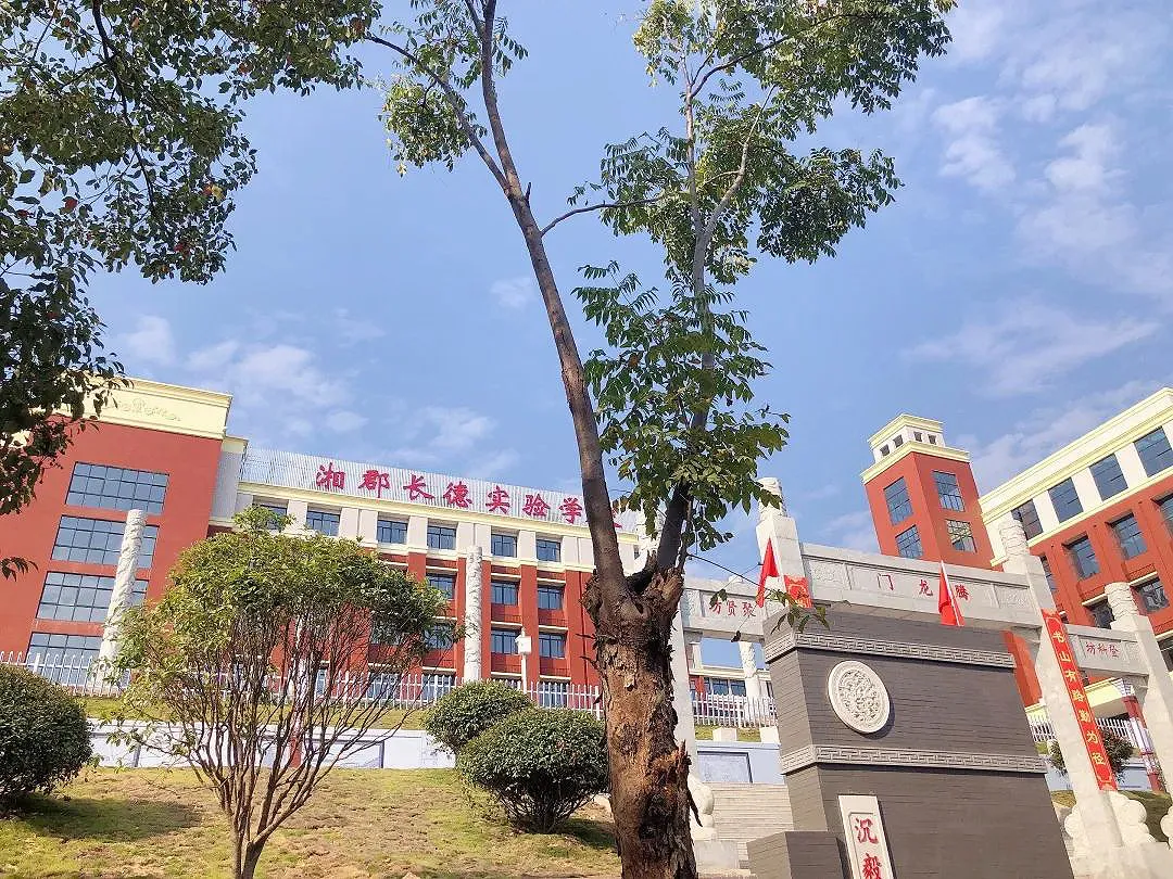 5-湘郡长德实验学校