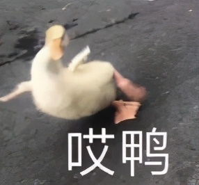 我从手里的6张offer里，挑了金斯顿