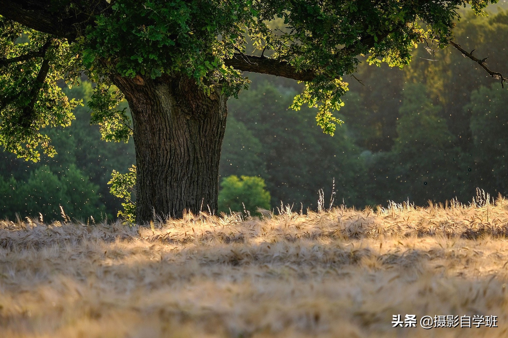 这10大风光摄影技巧，帮你拍美风景照片，简单好学错过可惜