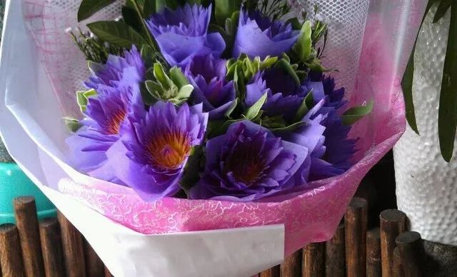 生活远比想象中艰难，但是你的爱也远比想象中更强大呀！