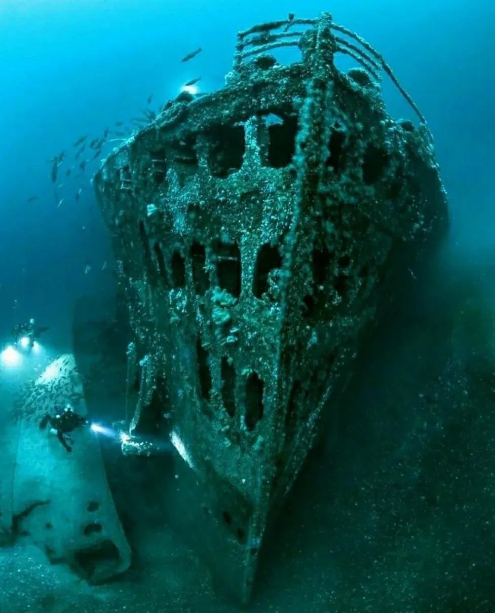 深海恐惧症图片测试图(13张海底图片) - 赤虎壹号