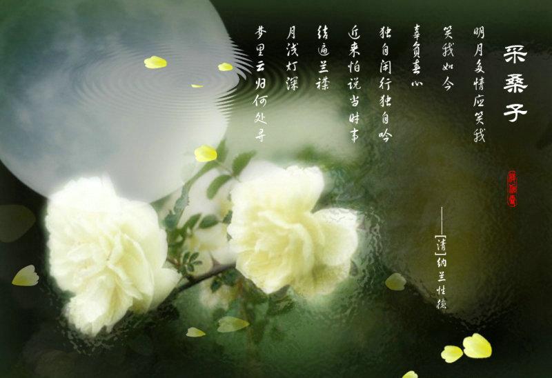 人生最美是初见：一首拟古决绝词，写尽人间真性情