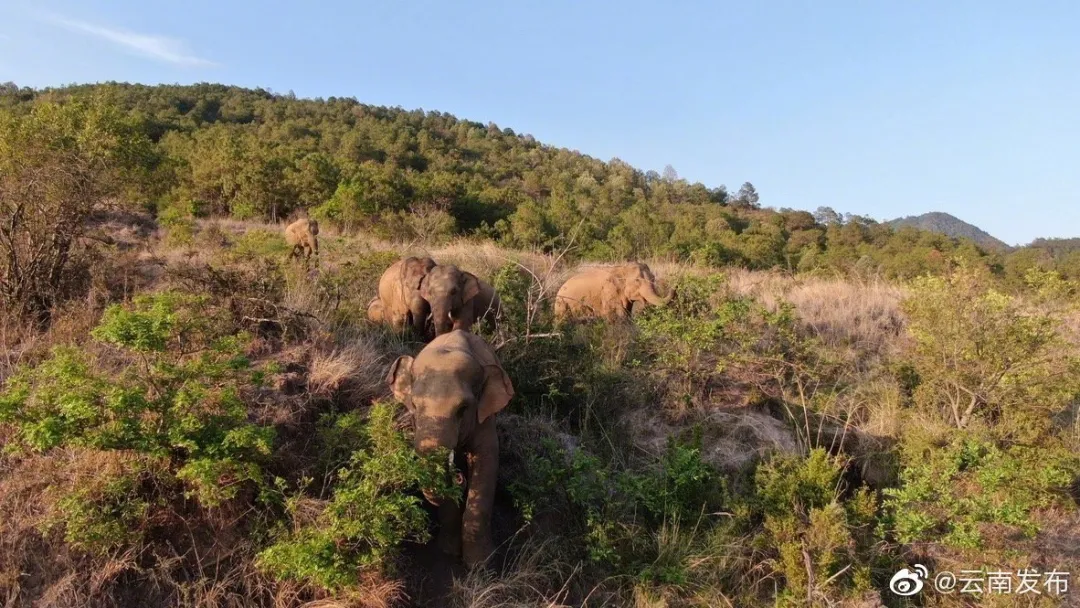 早安，太原！（2021.6.7）高考开考；太原单双号限行；太原连续四天小雨天气；送考车辆发生交通事故这样办